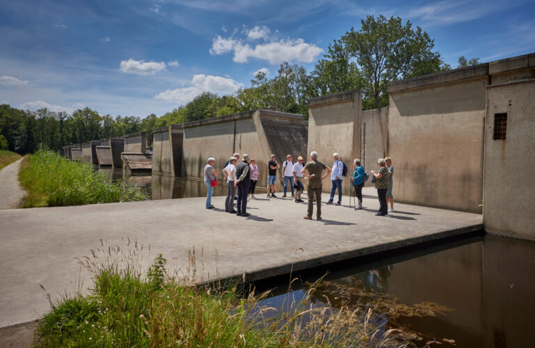 Ontdek de waterwerken in het Waterloopbos — natuur in Emmeloord