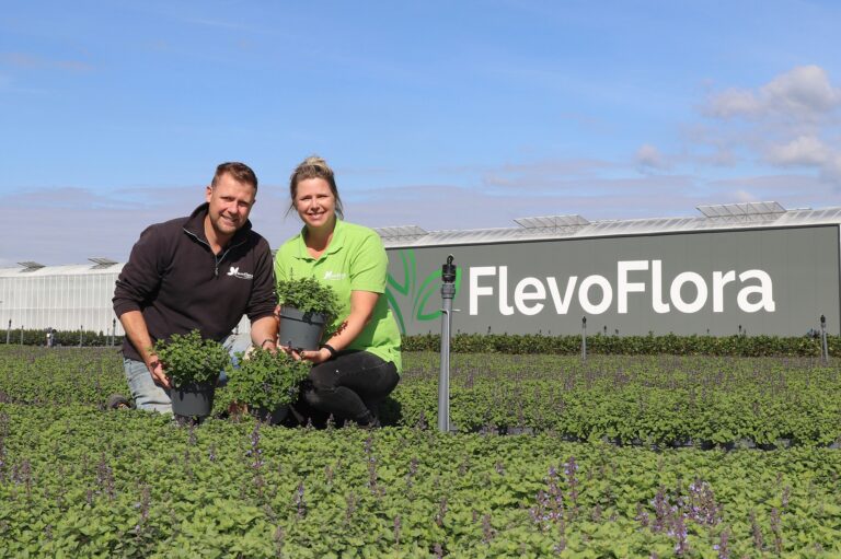 Kijk- en Koopdagen Flevoflora — markt-eten in Emmeloord