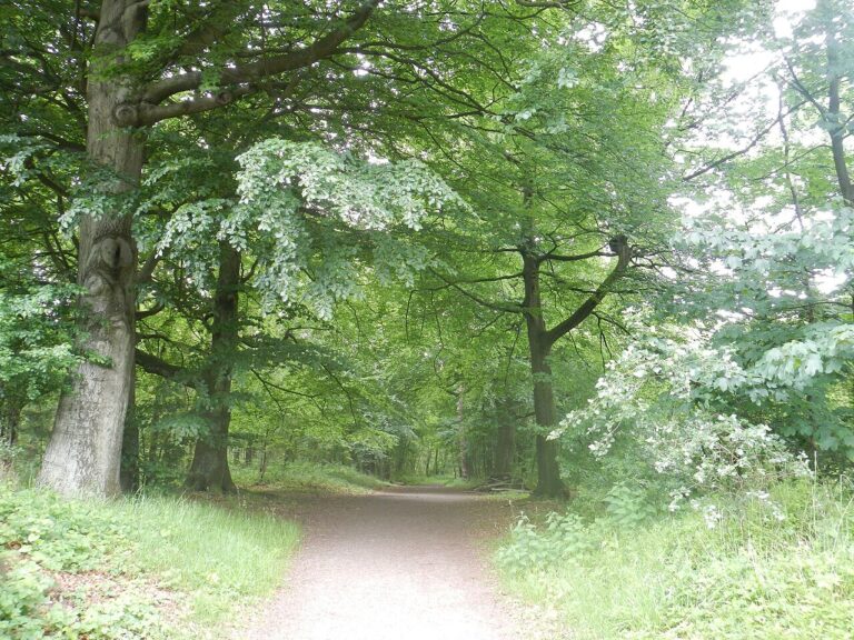 Lichtjesavond 2026 — natuur in Emmeloord